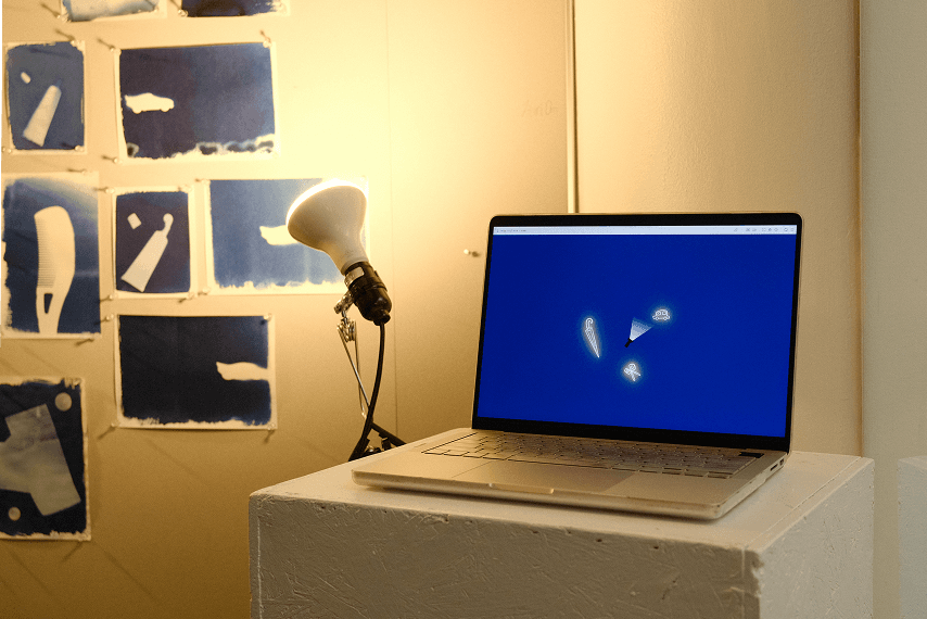Laptop installation of the interactive website beside cyanotype prints and a lamp